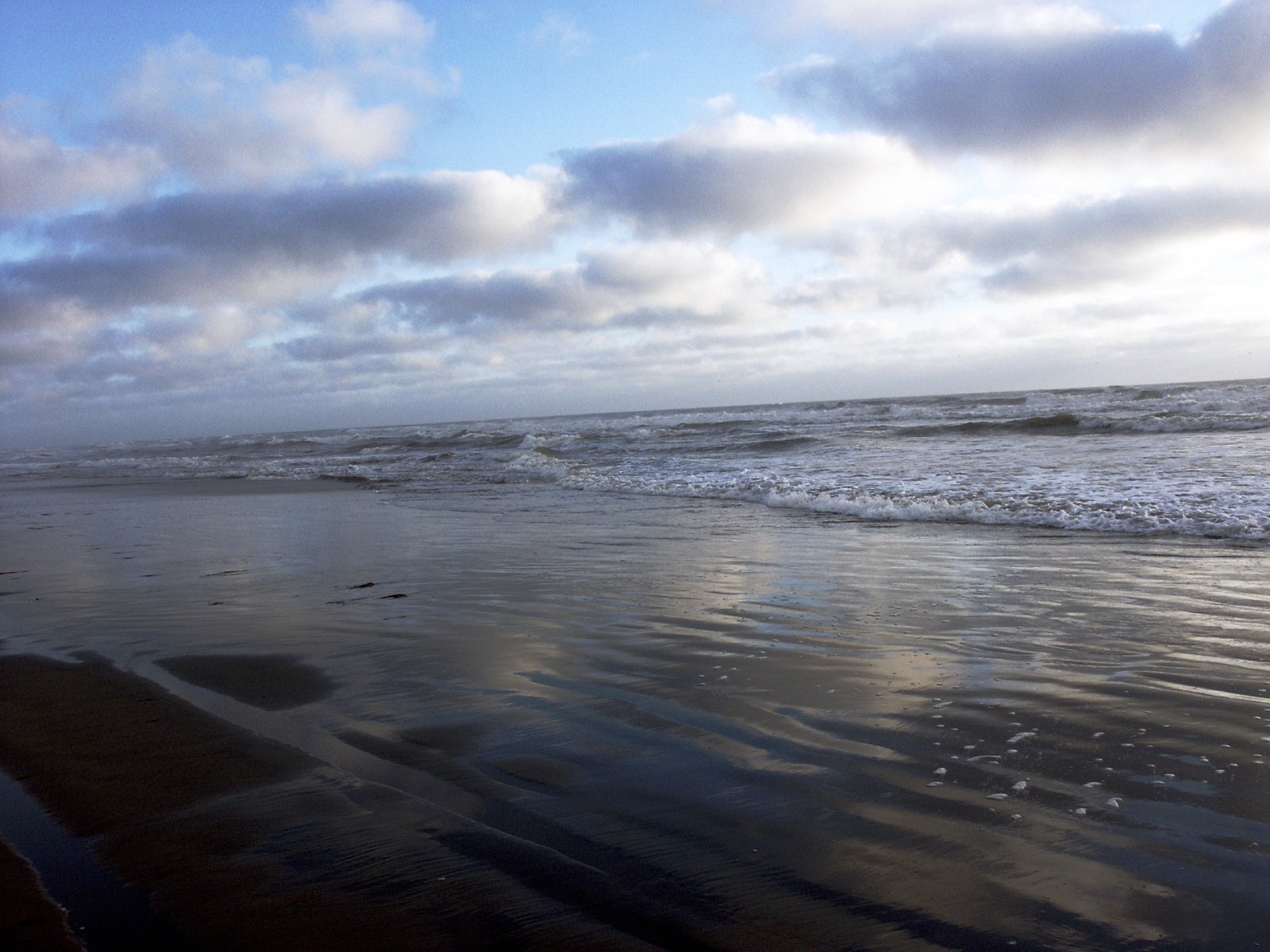 The Beach Long Beach, WA Shutterbug